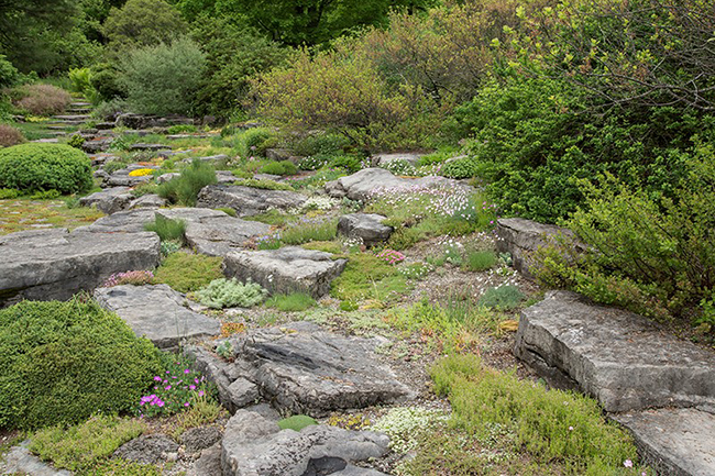 Digging Deeper: Beautiful Rocks